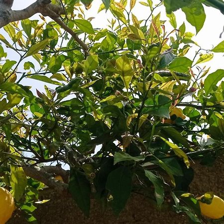 La Pica Marina Anacapri Διαμέρισμα Εξωτερικό φωτογραφία